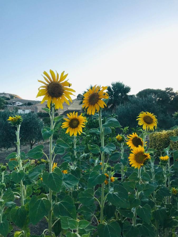 Villa Lada Santa Ninfa 외부 사진